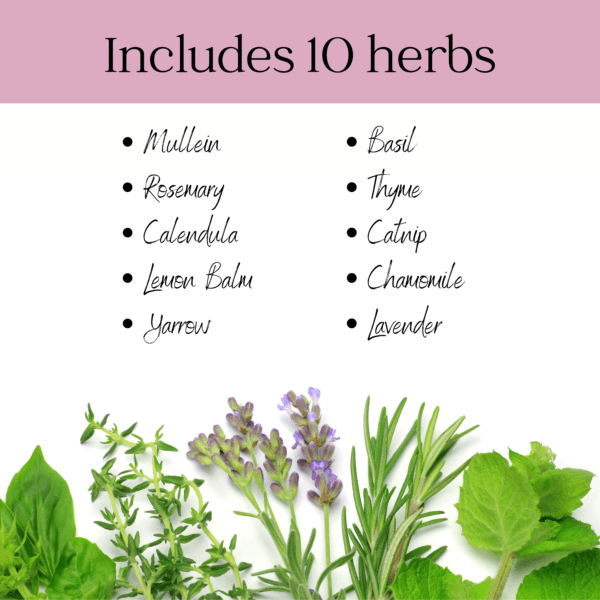 Herbal Harmony: A Beginner's Guide to Ten Potent Herbs - Image 10