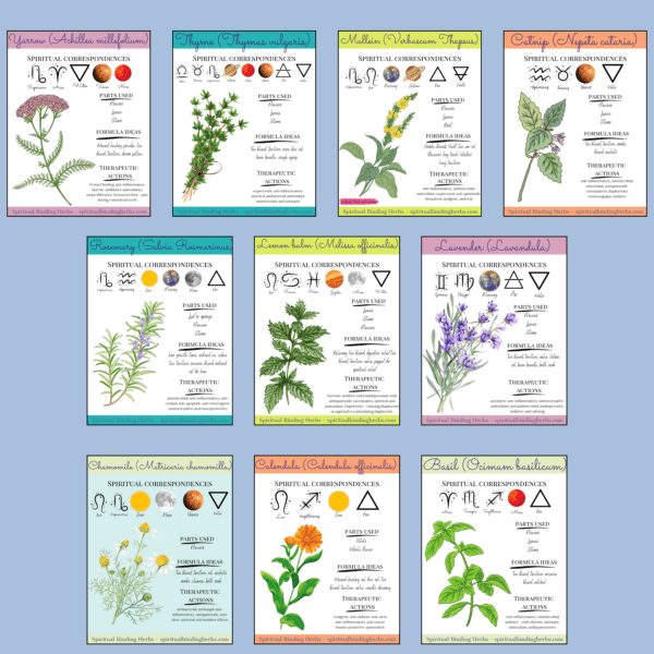 Herbal Harmony: A Beginner's Guide to Ten Potent Herbs - Image 8