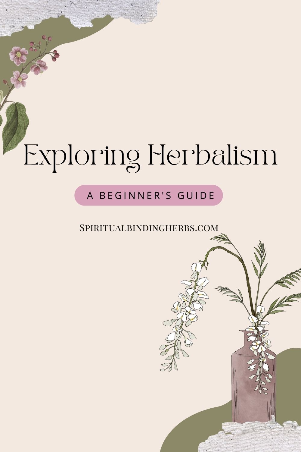 Exploring Herbalism: A Beginner\'s Guide