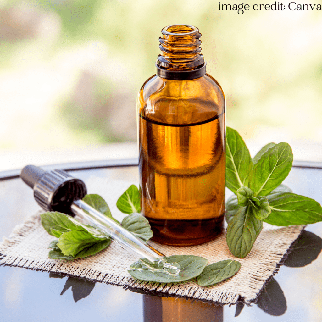 herbal tincture bottle on table